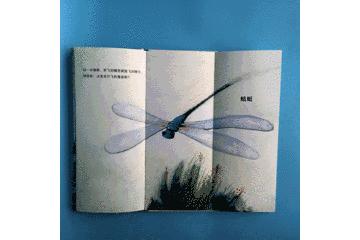 世界级大师薛蓝·约纳科维奇带你在小世界里寻找大世界