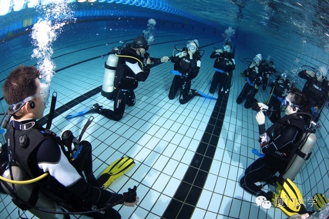 体育微型课游泳,二年级体育公开课攀岩