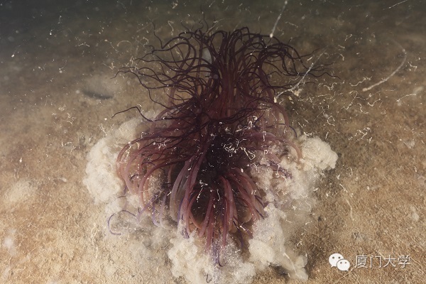 体育微型课游泳,二年级体育公开课攀岩