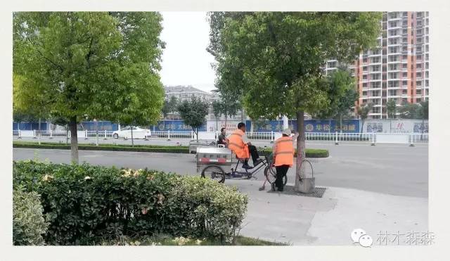 生在安徽人在浙江,生在皖嫁在沪