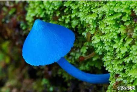 厦门办理居住证需要暂住证吗,厦门居住证星期六可以去办吗