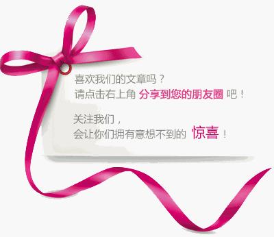 便携耳放音质排行榜前十名,便携解码耳放测评对比