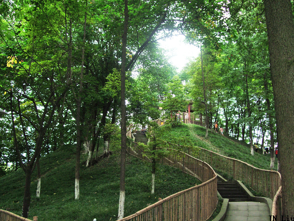 去温江有啥好玩的,夏季温江游玩景点有哪些