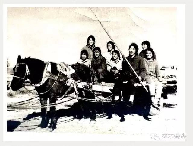 生在安徽人在浙江,生在皖嫁在沪