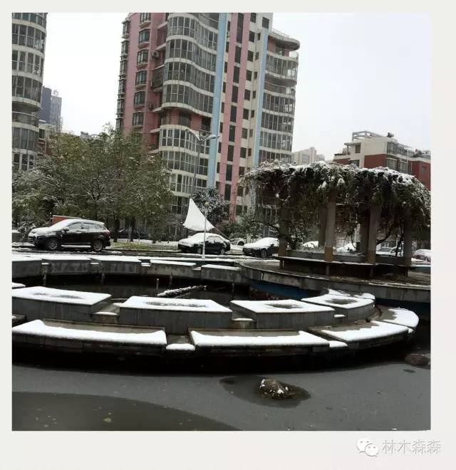 生在安徽人在浙江,生在皖嫁在沪