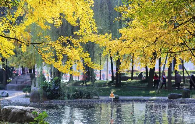 去温江有啥好玩的,夏季温江游玩景点有哪些