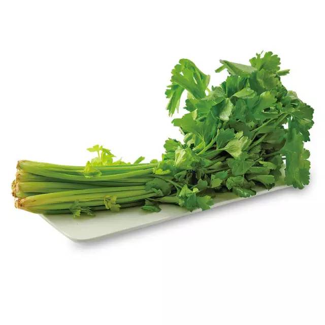 蔬菜种子识别图片,常见蔬菜种子认识