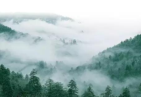 宁波大自然美轮美奂的风景,宁波最美森林