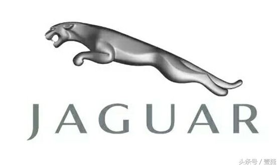 所有汽车的车标作用都是一样的吗,汽车小知识认识大全