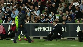 悉尼一只海鸥误入足球赛场，被一球打晕后，成了全场焦点……