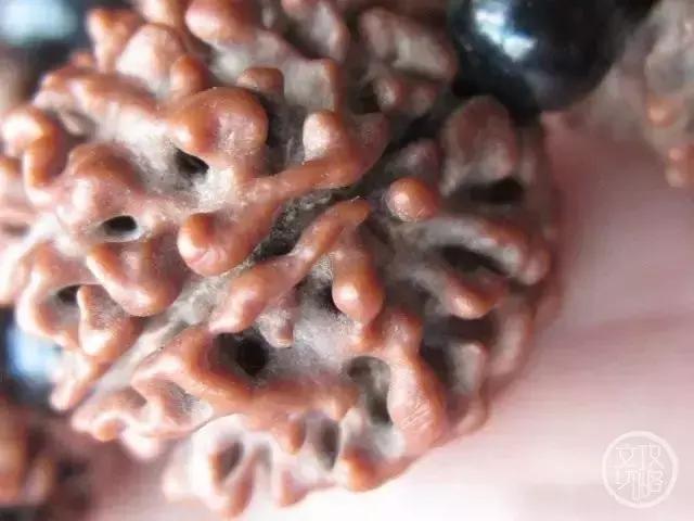 一串都玩不好，还想玩两串？来啊，给我剁了他的手！