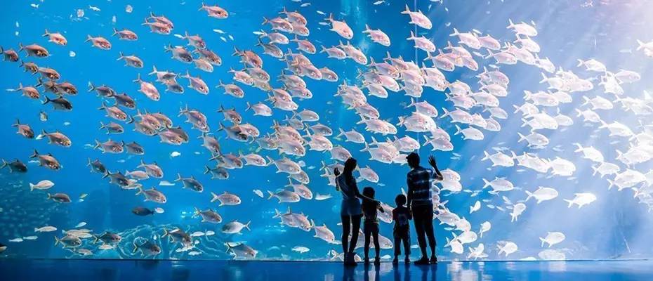 广州高铁沿途景点推荐最新,广州高铁乘车指南收藏下