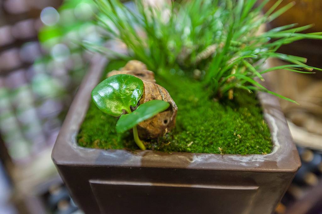 距离杭州仅30公里车程,距离杭州一小时车程的景点