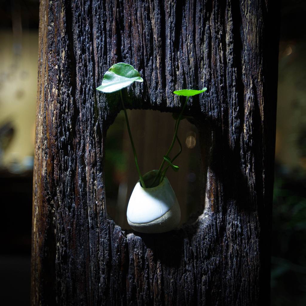 距离杭州仅30公里车程,距离杭州一小时车程的景点