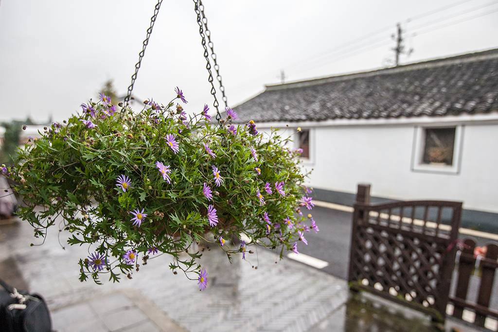 距离杭州仅30公里车程,距离杭州一小时车程的景点