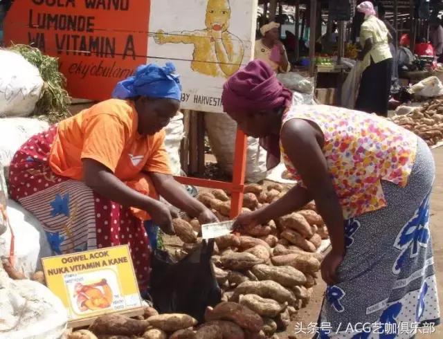 美国时代周刊全球50大最佳发明,时代杂志2020年100大最佳发明