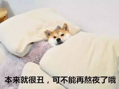 你的网名流行吗？看看这些惊艳和惊吓的神网名