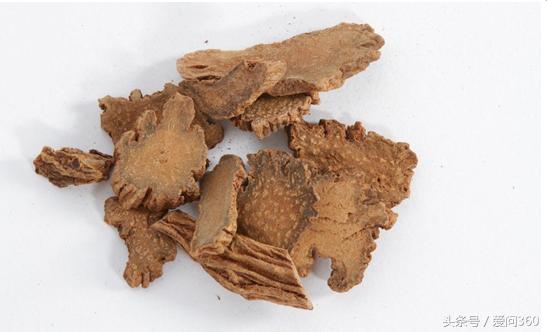 锁阳有什么用途怎么食用最好,锁阳泡水喝的正确方法和禁忌