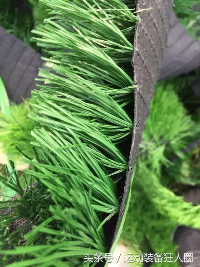 大港油田红蜻蜓青训队在哪,大港油田红蜻蜓足球青训