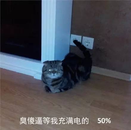 宠物吃辣条搞笑视频,什么宠物吃辣条会中毒