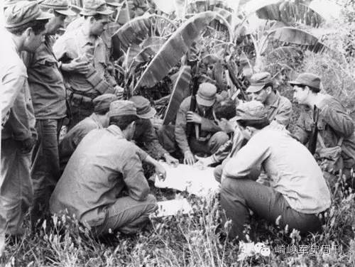 飞蛾事件,飞蛾扑火事情