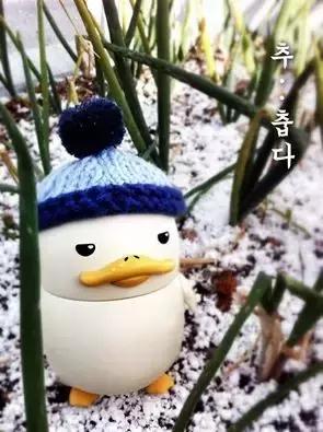 duck新款小黄鸭,duck小鸭视频