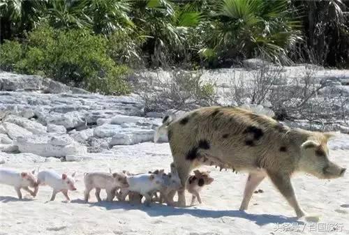 暑假适合去的免签海岛,最值得去的免签海岛