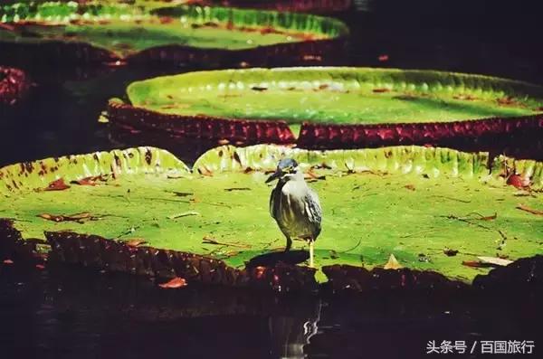 暑假适合去的免签海岛,最值得去的免签海岛