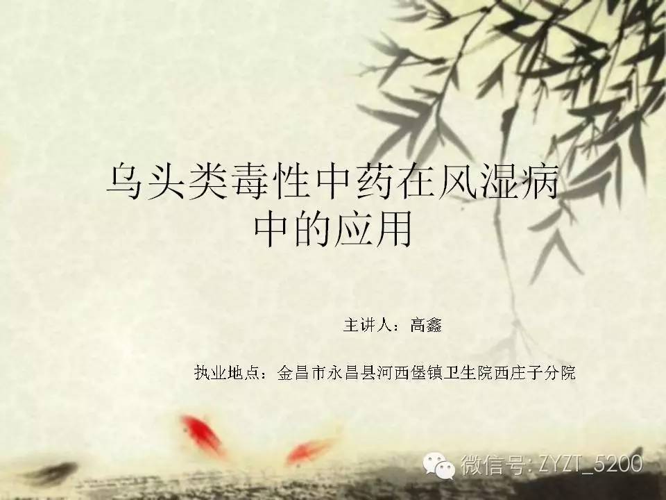 高鑫风湿医生,高鑫中医