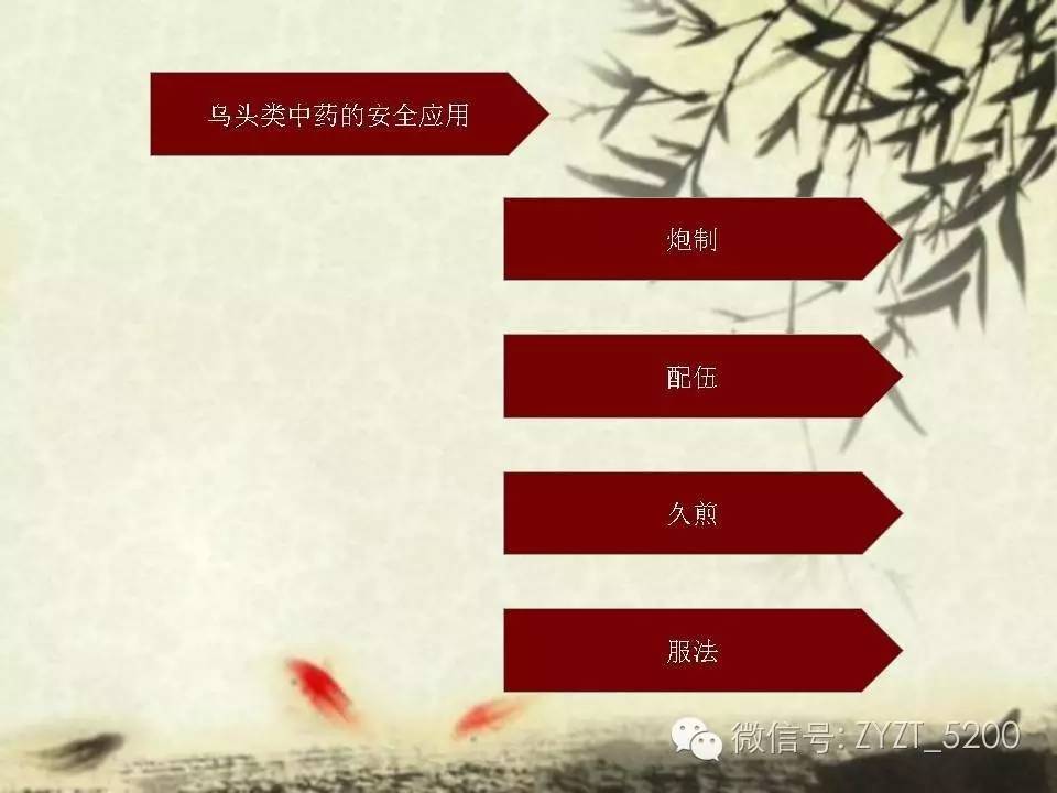 高鑫风湿医生,高鑫中医