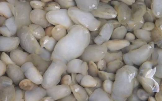 三明有没有好吃的啊,三明美食推荐必吃第一名