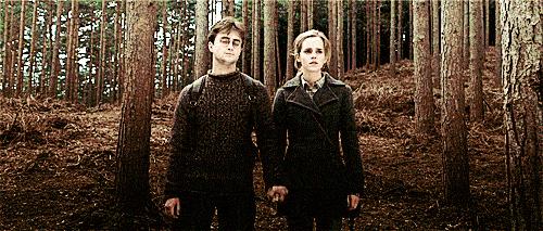 神奇动物中的咒语都有哪些,看神奇动物需要知道的事