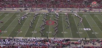 这样的欧洲杯！女性比追韩剧还疯狂