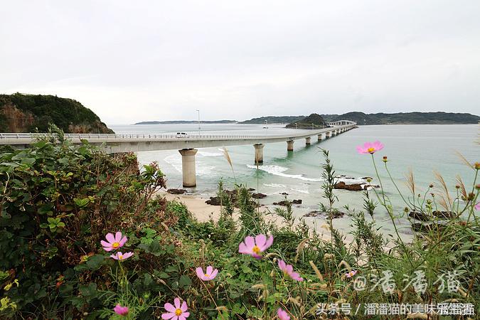 山阴山阳地区五县旅行线路指南
