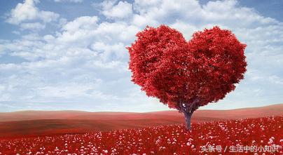 妈妈的生日礼物礼物,简单的送给妈妈的生日礼物