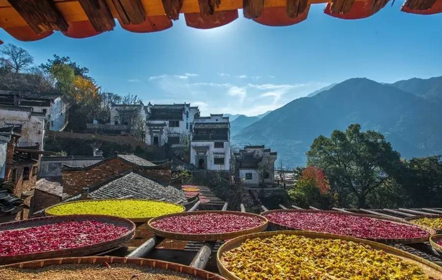 父亲的秋天现代文阅读,父亲的秋天阅读答案