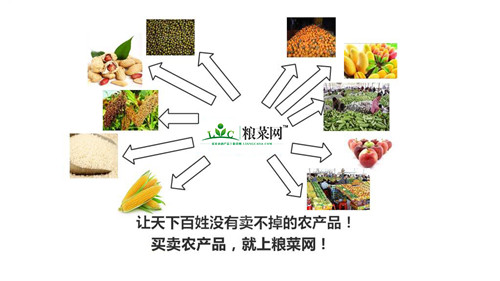 买卖农副产品，上粮菜网
