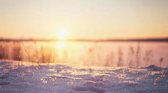 大雪丨白雪欲求吟咏句，穿枝掠院演梅花