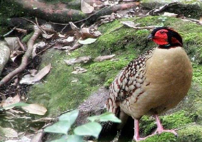 最美摩旅地方,国庆7天摩旅最美路线