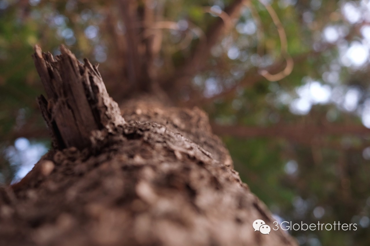 长春我爱你的照片,长春我爱我妻家政月嫂服务中心