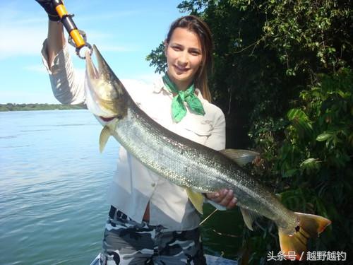 亚马逊钓鱼钓到最大的鱼,亚马逊钓到1吨的鱼