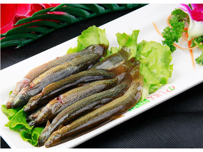 睡觉流口水用哪味中药,哪种药治流口水