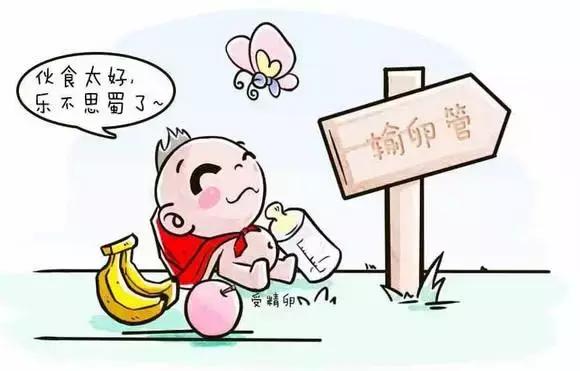 宫外孕会爆炸的影视剧,宫外孕定时炸弹