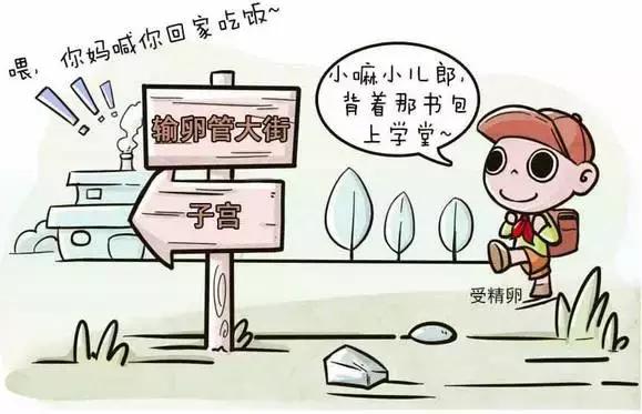 宫外孕会爆炸的影视剧,宫外孕定时炸弹