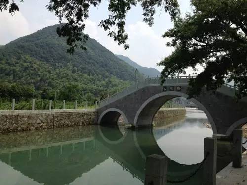 宁波大自然美轮美奂的风景,宁波最美森林