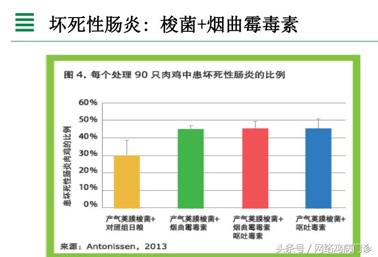 脱霉剂实测,脱霉剂真正脱霉吗