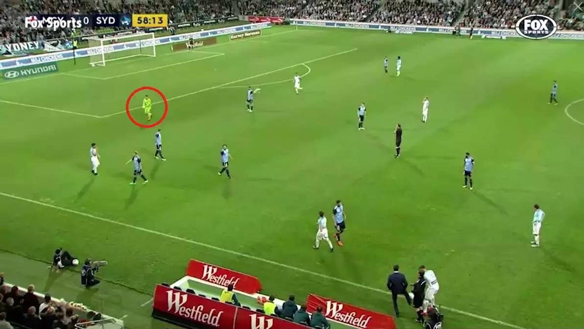 悉尼一只海鸥误入足球赛场，被一球打晕后，成了全场焦点……