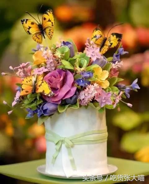 身患癌症、不懂烘焙的老太太如何逆袭成“蛋糕女王”