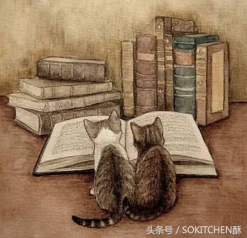 甜点中最常见的凝固剂,甜品凝固剂的区别