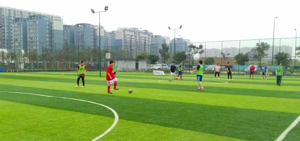 成都足球野球场推荐,成都免费足球场推荐